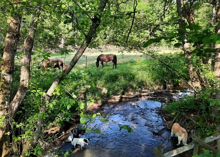 Scheune Appartement *